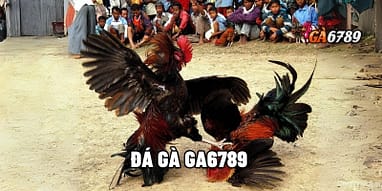 Ga6789 Khám phá tiềm năng và thách thức của một hiện tượng mạng