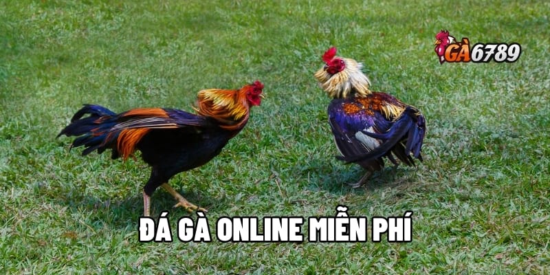 Đá Gà Online Miễn Phí – Cược Tẹt Ga, Không Lo Vốn 1 đá gà online miễn phí