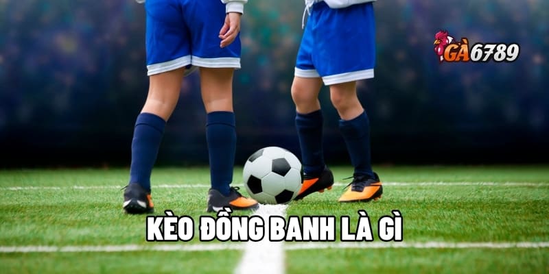 Kèo Đồng Banh Là Gì? Phân Tích Chuyên Sâu, Bắt Kèo Hiệu Quả 1 kèo đồng banh là gì