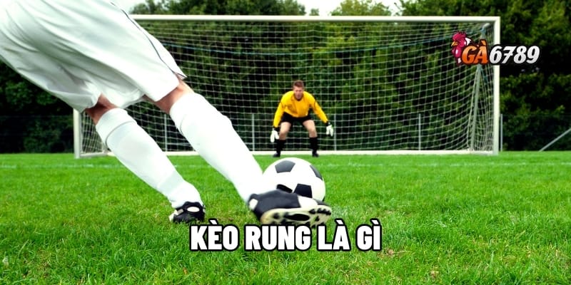 Kèo Rung Là Gì? Bắt Kèo "Vàng" Thắng Lớn Mỗi Trận Đấu 1 kèo rung là gì