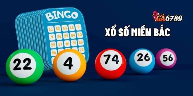 Kết Quả Xổ Số Miền Bắc Cực Nhanh, Dễ Dàng Trúng Thưởng 1 Xổ số miền Bắc